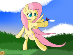 Size: 1024x768 | Tagged: safe, artist:mechanized515, fluttershy, butterfly, g4, female, patreon, patreon logo, solo