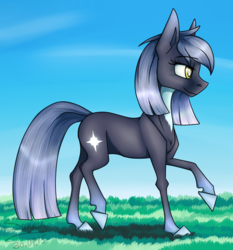 Size: 1619x1736 | Tagged: safe, artist:sunny way, oc, oc only, earth pony, pony, rcf community, request, sky, solo, sun, sunny day