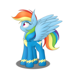 Size: 1600x1800 | Tagged: safe, artist:php66, rainbow dash, g4, simple background, solo, white background, wonderbolts uniform