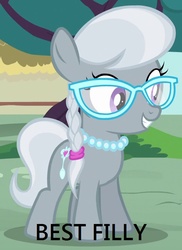 Size: 538x740 | Tagged: safe, silver spoon, g4, best pony, meme