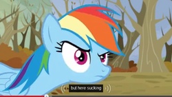 Size: 640x360 | Tagged: safe, screencap, rainbow dash, g4, tanks for the memories, female, meme, solo, tree, youtube, youtube caption