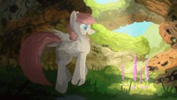 Size: 1800x1013 | Tagged: safe, artist:fuzzyfox11, oc, oc only, canyon, forest, solo