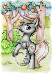 Size: 900x1269 | Tagged: safe, artist:pingwinowa, oc, oc only, oc:appleberry, earth pony, pony, hat, lasso, solo