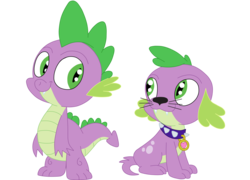 Size: 4192x3024 | Tagged: safe, artist:squipycheetah, spike, spike the regular dog, dog, equestria girls, g4, cute, doggy dragondox, duality, looking back, looking up, self paradox, simple background, sitting, spike's dog collar, transparent background, vector, whiskers
