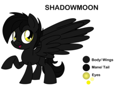 Size: 3507x2550 | Tagged: safe, artist:pananovich, oc, oc only, oc:shadowmoon, pegasus, pony, high res, male, smiling, solo, stallion