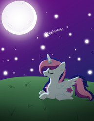 Size: 4600x5953 | Tagged: safe, artist:discorded-joker, oc, oc only, absurd resolution, eyes closed, moon, night, solo