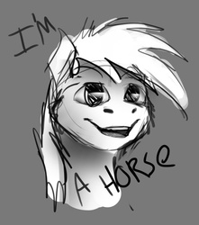 Size: 500x565 | Tagged: safe, artist:gaypyjamas, oc, oc only, monochrome, portrait, self awareness, simple background, solo, text