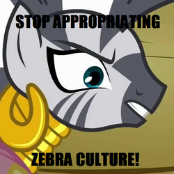 Size: 508x509 | Tagged: safe, edit, edited screencap, screencap, zecora, zebra, g4, angry, caption, cultural appropriation, female, op is a duck, op is trying to start shit, solo