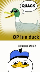 Size: 720x1280 | Tagged: safe, derpibooru, actually op is dolan, barely pony related, dolan, meme, meta, op, op is a duck, spoiler tag, spoilered image joke