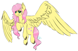 Size: 1024x669 | Tagged: dead source, safe, artist:colaclaw, fluttershy, pegasus, pony, g4, female, flying, signature, simple background, solo, transparent background, unshorn fetlocks