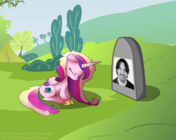 Size: 900x720 | Tagged: safe, princess cadance, human, g4, exploitable meme, grave, irl, irl human, leaving, m.a. larson, meme, photo, sad