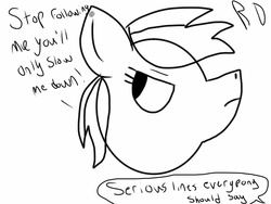 Size: 2048x1536 | Tagged: safe, artist:paper pony artwork, artist:rihanna bell pepper, rainbow dash, g4, looking back, monochrome, quote, serious, text
