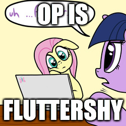 Size: 250x250 | Tagged: safe, fluttershy, twilight sparkle, g4, caption, computer, floppy ears, image macro, laptop computer, meme, op, op is fluttershy, text