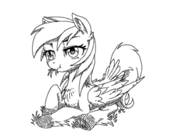 Size: 430x326 | Tagged: safe, artist:stoic5, rainbow dash, g4, chest fluff, ear fluff, eating, female, folded wings, grass, grayscale, herbivore, horses doing horse things, mare, monochrome, prone, simple background, solo, tail feathers, underhoof, white background, wings