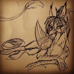 Size: 640x640 | Tagged: safe, artist:sunny way, oc, oc only, oc:sunny way, griffon, rcf community, cute, feather, instagram, paws, sketch, solo, traditional art