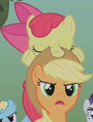 Size: 347x456 | Tagged: safe, screencap, apple bloom, applejack, rainbow dash, rarity, bridle gossip, g4, sleeping