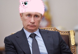 Size: 1024x712 | Tagged: dead source, safe, artist:vladimirpony, oc, oc:fluffle puff, earth pony, human, pony, fluffleputin, irl, irl human, photo, toupee, vladimir putin