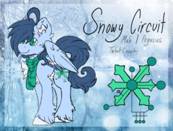 Size: 1024x774 | Tagged: safe, artist:php166, oc, oc only, oc:snowy circuit, pegasus, pony, clothes, cutie mark, facial hair, freckles, male, reference sheet, scarf, solo, stallion, text, unshorn fetlocks, wings