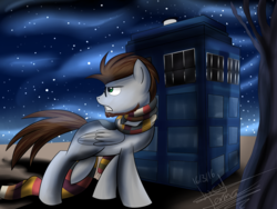 Size: 1599x1200 | Tagged: safe, artist:scarlett-letter, pegasus, pony, beard, clothes, commission, doctor who, glasses, green eyes, night, scarf, stars, tardis, three