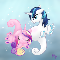 Size: 5000x5000 | Tagged: safe, artist:kalyandra, princess cadance, shining armor, sea pony, seahorse, g4, absurd resolution, badumsquish approved, belly, belly blush, big belly, eyes closed, female, male, male pregnancy, mister seahorse, pregarmor, pregnant, scrunchy face, seahorse reproduction, seaunicorn, smiling, species swap, unamused, underwater