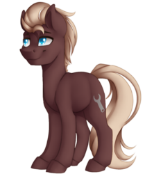 Size: 800x900 | Tagged: safe, artist:silentwulv, oc, oc only, oc:spanner, pony, male, simple background, solo, stallion, transparent background