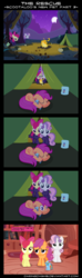 Size: 2000x6749 | Tagged: safe, artist:daringdashie, apple bloom, rainbow dash, scootaloo, sweetie belle, earth pony, pegasus, pony, unicorn, g4, comic, cutie mark crusaders, female, filly, foal, scootalone, scootaloo's new pet