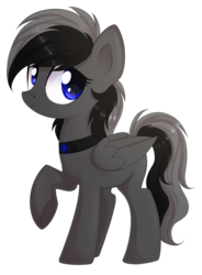 Size: 1024x1392 | Tagged: safe, artist:sevedie, oc, oc only, oc:shadow, pegasus, pony, blue eyes, missing cutie mark, necklace, raised hoof, simple background, solo, transparent background