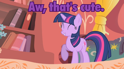 Size: 640x359 | Tagged: safe, screencap, twilight sparkle, g4, my little pony: friendship is magic, owl's well that ends well, female, image macro, meme, purple text, solo