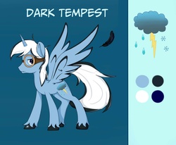 Size: 1700x1400 | Tagged: safe, artist:hirundoarvensis, artist:xsidera, oc, oc only, oc:dark tempest, commission, reference sheet, solo