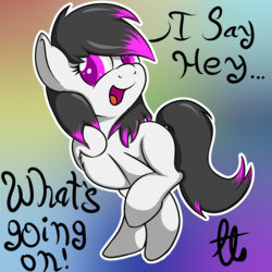 Size: 1000x1000 | Tagged: safe, artist:laptopbrony, oc, oc only, oc:soundpallette, chest fluff, cute, looking at you, solo, walking