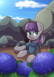 Size: 1748x2480 | Tagged: safe, artist:tikrs007, maud pie, earth pony, pony, g4, female, flower, hydrangea, lying down, mare, solo