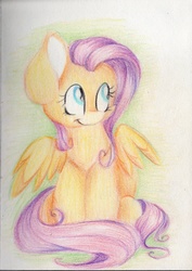 Size: 1983x2800 | Tagged: safe, artist:cutepencilcase, fluttershy, g4, female, sitting, smiling, solo, spread wings, traditional art