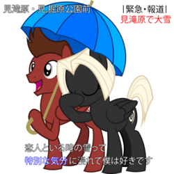 Size: 2960x2960 | Tagged: safe, artist:outlawedtofu, oc, oc only, oc:astral, oc:mach, pegasus, pony, fallout equestria, fallout equestria: outlaw, high res, japanese, mastral, special feeling, umbrella, vector