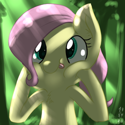 Size: 1024x1024 | Tagged: safe, artist:imsokyo, fluttershy, g4, chest fluff, female, filly, silly face, solo