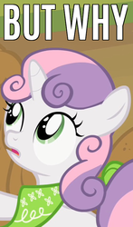 Size: 424x720 | Tagged: safe, edit, edited screencap, screencap, sweetie belle, g4, sisterhooves social, but why, caption, clothes, female, image macro, looking up, meme, reaction image, scarf, solo, text