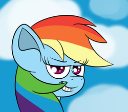 Size: 1600x1400 | Tagged: safe, artist:yakoshi, rainbow dash, g4, female, solo