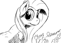 Size: 1169x826 | Tagged: safe, artist:darkhestur, fluttershy, pegasus, pony, g4, female, looking at you, monochrome, sketch, solo