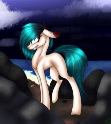 Size: 2500x2800 | Tagged: safe, artist:immagoddampony, oc, oc only, beach, high res, ocean, rock, solo