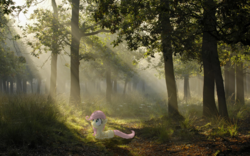 Size: 1920x1200 | Tagged: safe, artist:bryal, fluttershy, g4, crepuscular rays, cute, female, filly, forest, frown, irl, looking up, photo, ponies in real life, prone, solo