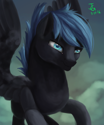 Size: 2000x2400 | Tagged: safe, artist:joan-grace, commander hurricane, pegasus, pony, g4, high res, male, solo, stallion
