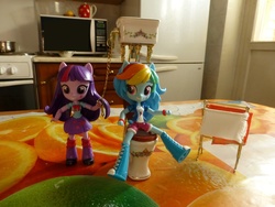 Size: 1296x972 | Tagged: safe, rainbow dash, twilight sparkle, equestria girls, g4, but why, clothes, doll, equestria girls minis, irl, photo, skirt, toilet, toy