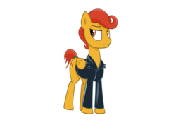 Size: 1024x724 | Tagged: safe, artist:wonkysole, oc, oc only, oc:pan pizza, pegasus, pony, clothes, jacket, solo