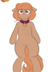 Size: 592x813 | Tagged: safe, oc, oc only, oc:amber rose (thingpone), oc:thingpone, blushing, c:, collar, cute, floppy ears, heart, heart bulge, looking at you, pet tag, simple background, smiling, solo, white background