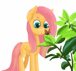 Size: 1035x966 | Tagged: safe, artist:nottex, fluttershy, butterfly, g4, female, folded wings, looking at something, nature, simple background, solo, standing, white background