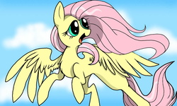 Size: 1600x960 | Tagged: safe, artist:pinkied1e, fluttershy, g4, female, flying, solo