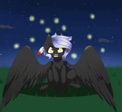 Size: 1024x938 | Tagged: safe, artist:doodle-28, oc, oc only, oc:cloudy night, pegasus, pony, night, solo
