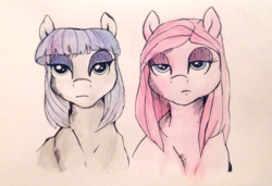 Size: 1140x781 | Tagged: safe, artist:buttersprinkle, maud pie, pinkie pie, g4, duo, pinkamena diane pie, traditional art, unamused