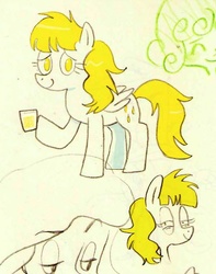 Size: 665x843 | Tagged: safe, artist:norithecat, oc, oc only, oc:golden showers, pony, solo