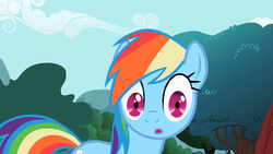 Size: 1280x720 | Tagged: safe, screencap, rainbow dash, pony, g4, may the best pet win, my little pony: friendship is magic, looking at you