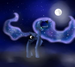 Size: 1000x900 | Tagged: safe, artist:mlplover2206, princess luna, g4, female, fluffy, moon, night, solo